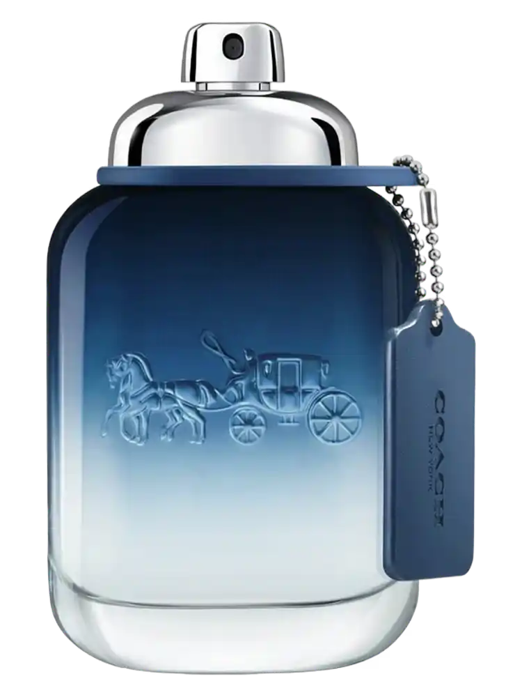 cheap_luxury_perfume_fragrances_in_dluxscent-4-9